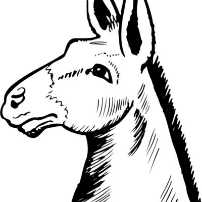 BURRO014 BURRO014 Thumbnail
