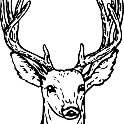 DEER011 Thumbnail